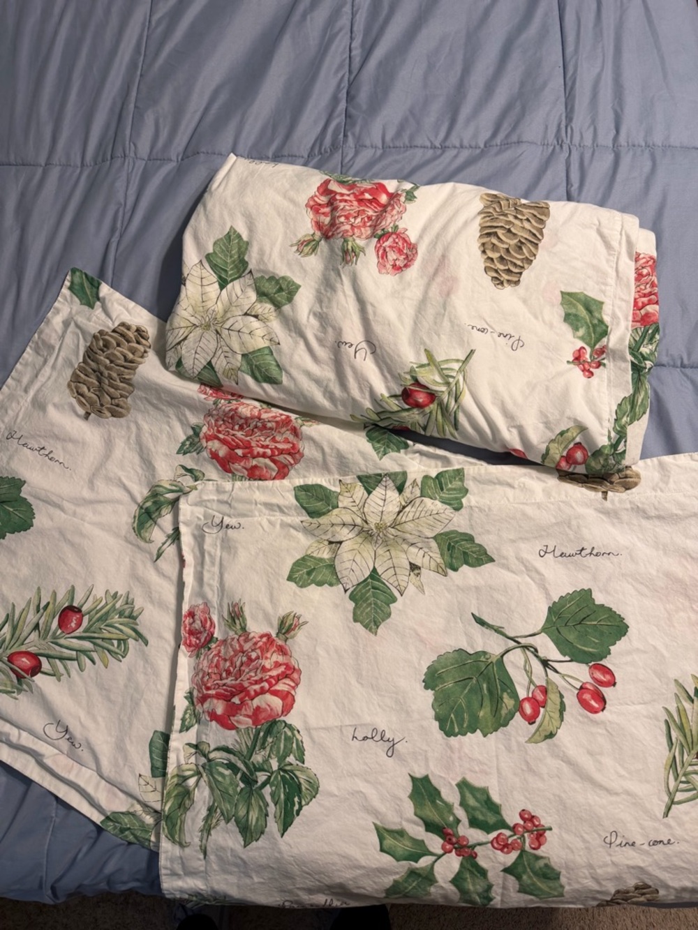 Pottery barn Holly botanical and poinsettia shams and duvet cover